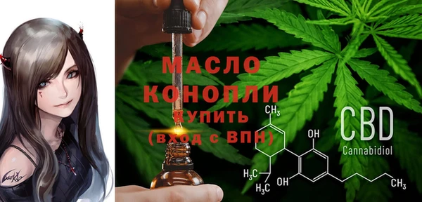 2c-b Горняк